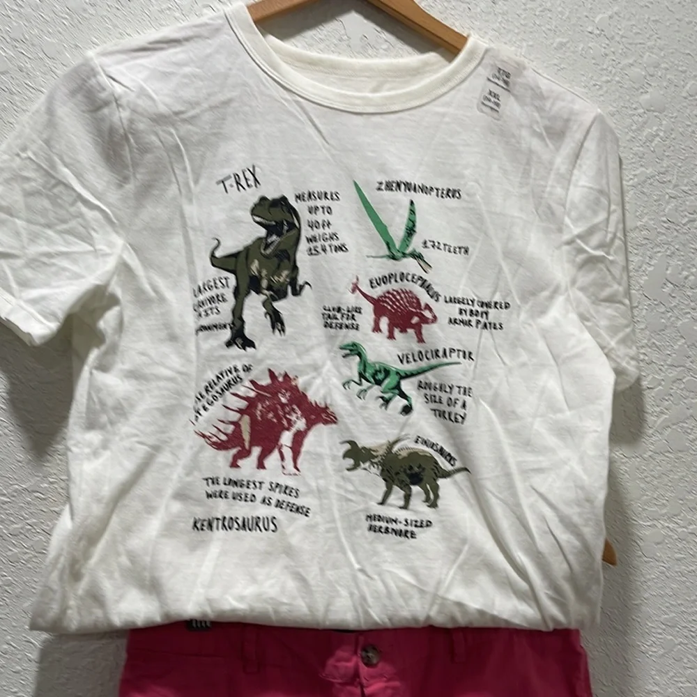 Polo Ralph Lauren & GAP kids set size 16 GUC dinosaurs…